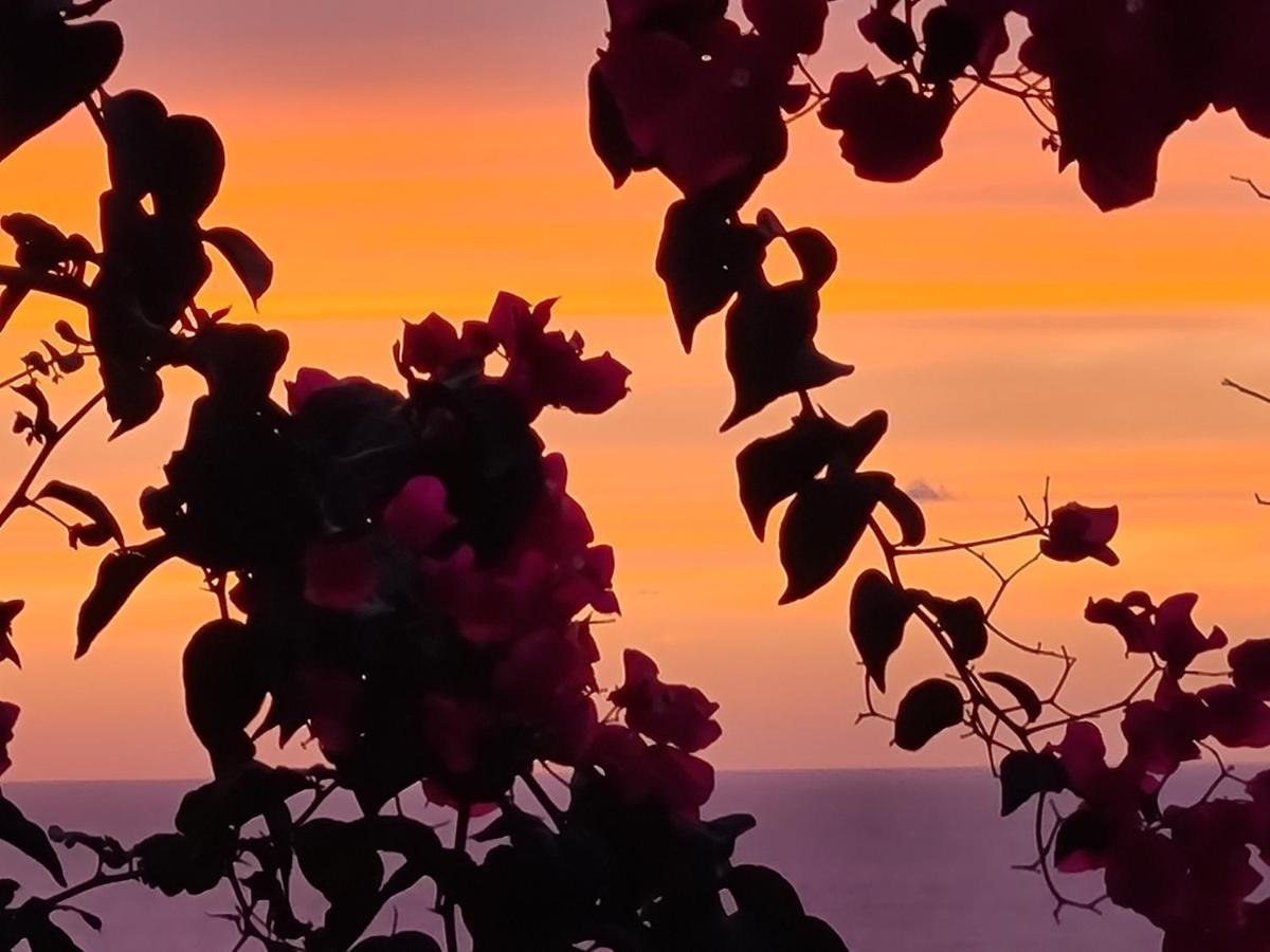 “Cielo E Mare”, Casetta Nel Cuore Del Borgo Antico / “Sky&Sea”, Charming In The Heart Of Old Village Castelsardo Esterno foto